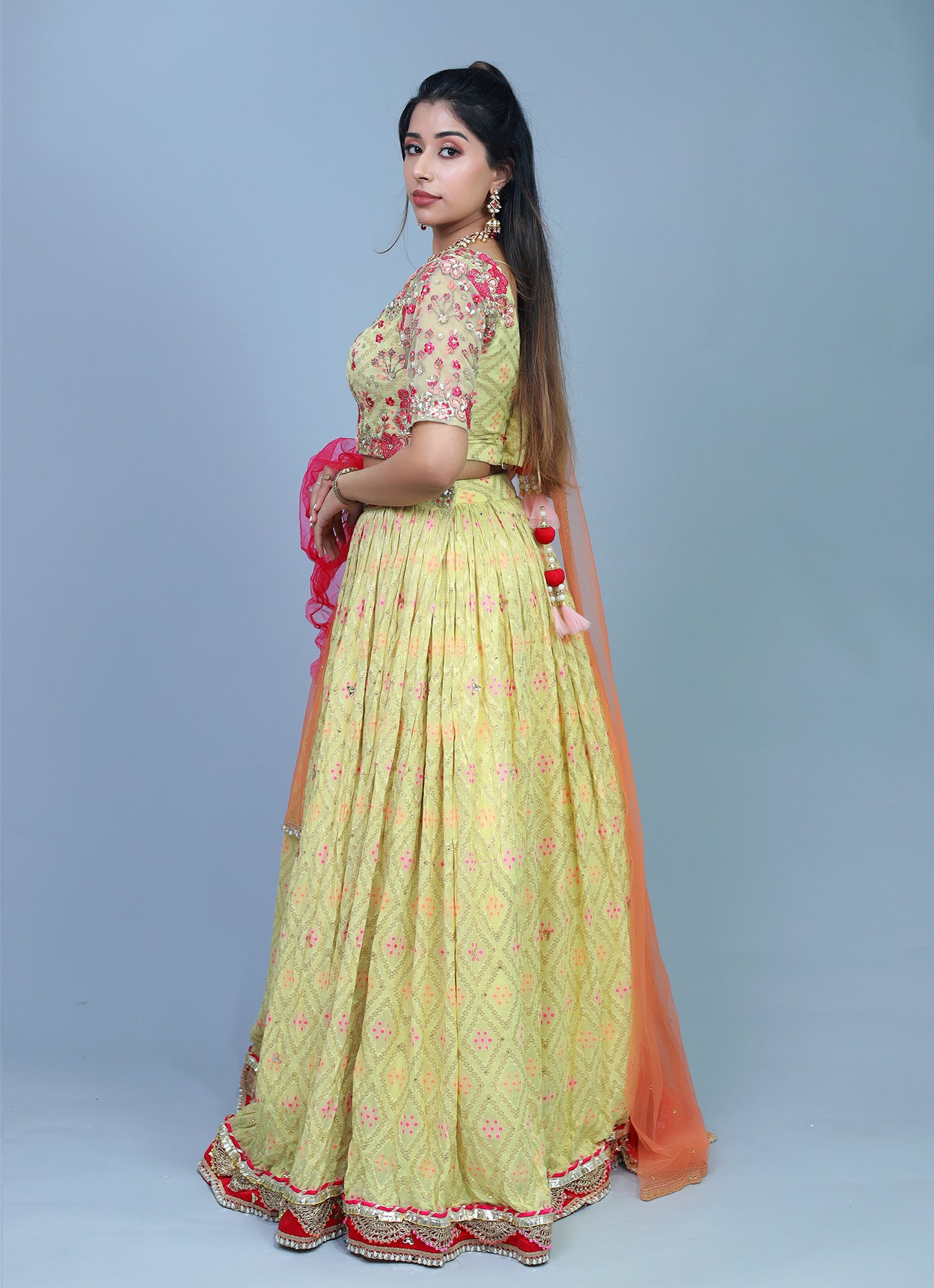 Pranika Banarasi Touch Croptop