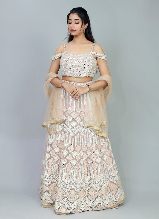 Abhisha  Designer Croptop